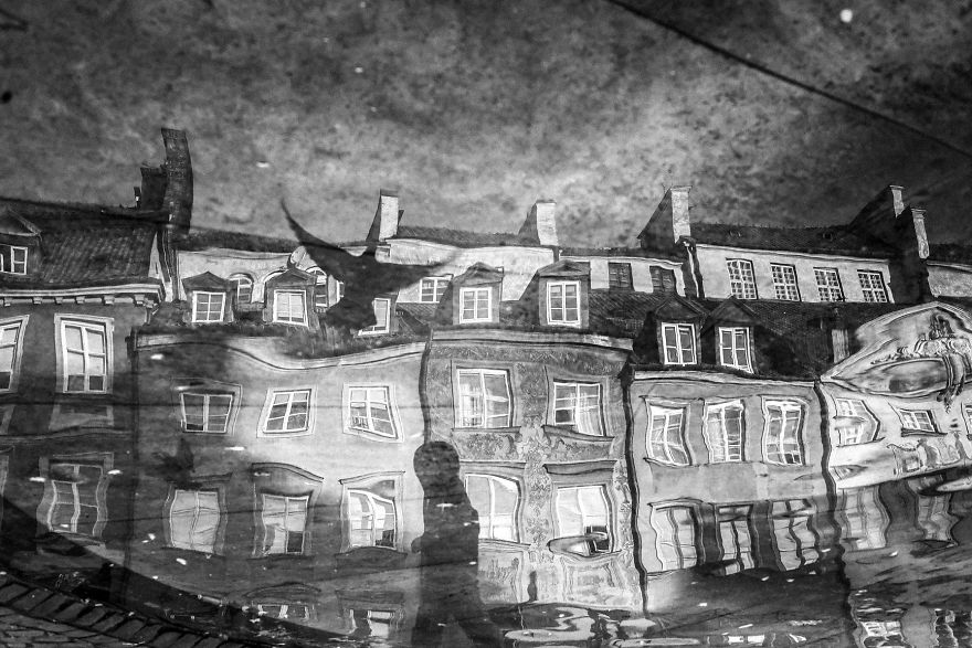 I returned To Photographing Nature After Maternity Leave And Had My Work Published in National Geographic I returned To Photographing Nature After Maternity Leave And Had My Work Published in National Geographic