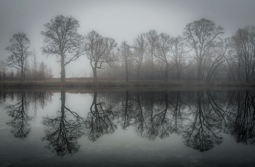 I returned To Photographing Nature After Maternity Leave And Had My Work Published in National Geographic I returned To Photographing Nature After Maternity Leave And Had My Work Published in National Geographic