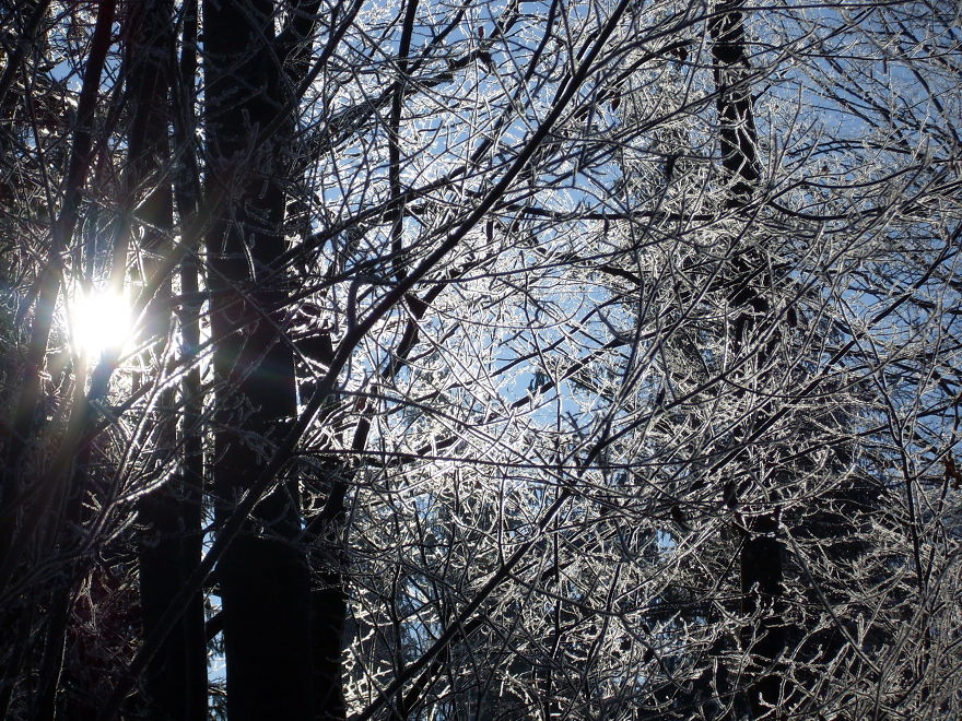 Romuli, Bistrița-năsăud