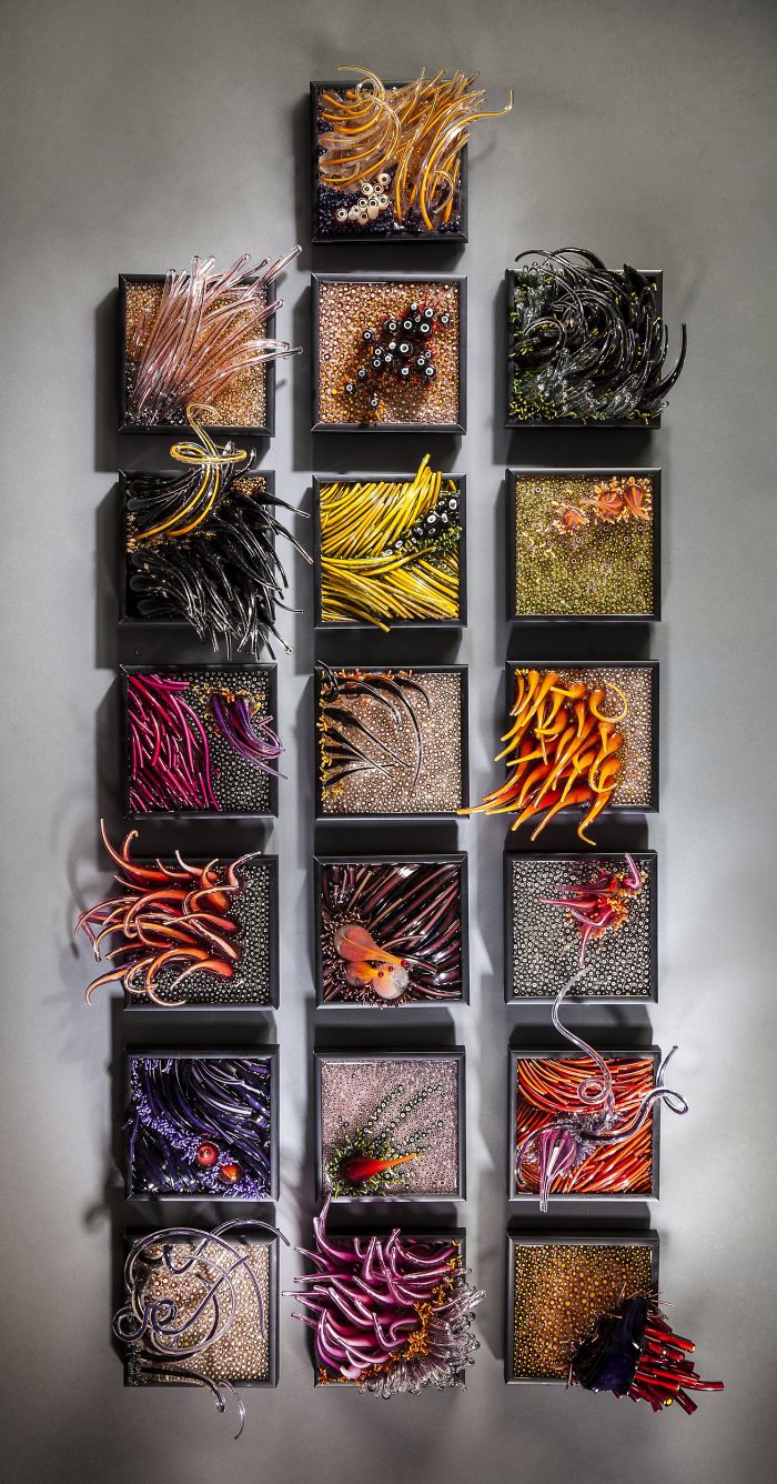 Shayna Leib's Art Will Glassblow Your Mind