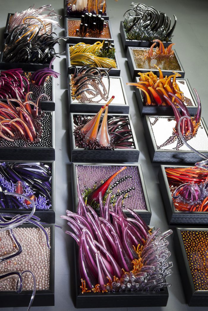 Shayna Leib's Art Will Glassblow Your Mind