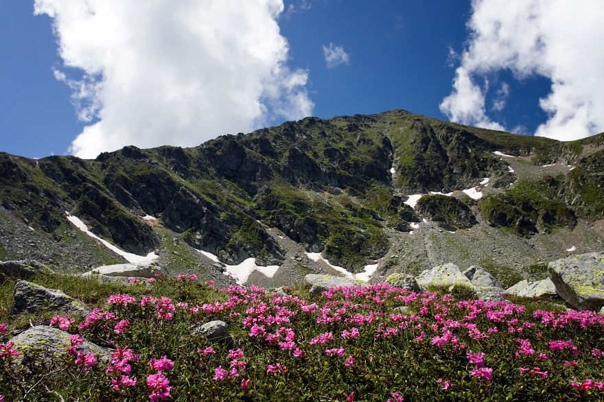 Parang Peaks In Summer