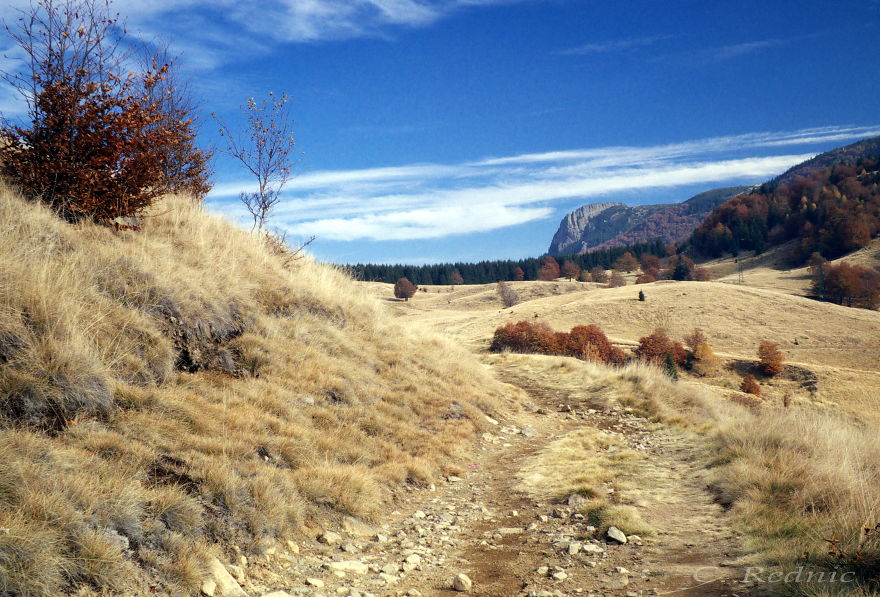 Hiking Towards Rooster's Crest (creasta Cocoșului), Gutin Mountains, Maramureș