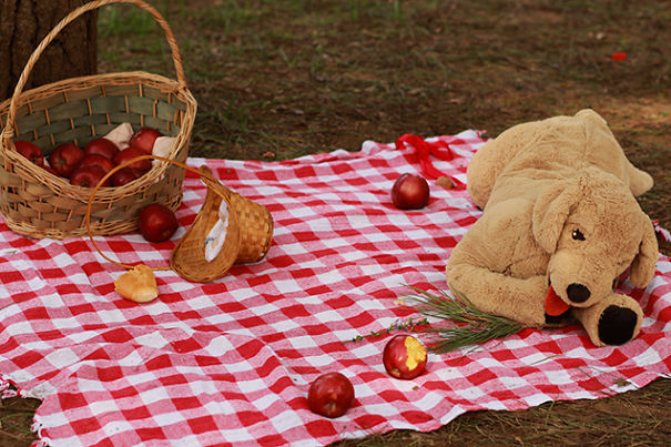 Photographer Dad And Designer Mom Photographed Their Baby Girl As Little Red Riding Hood