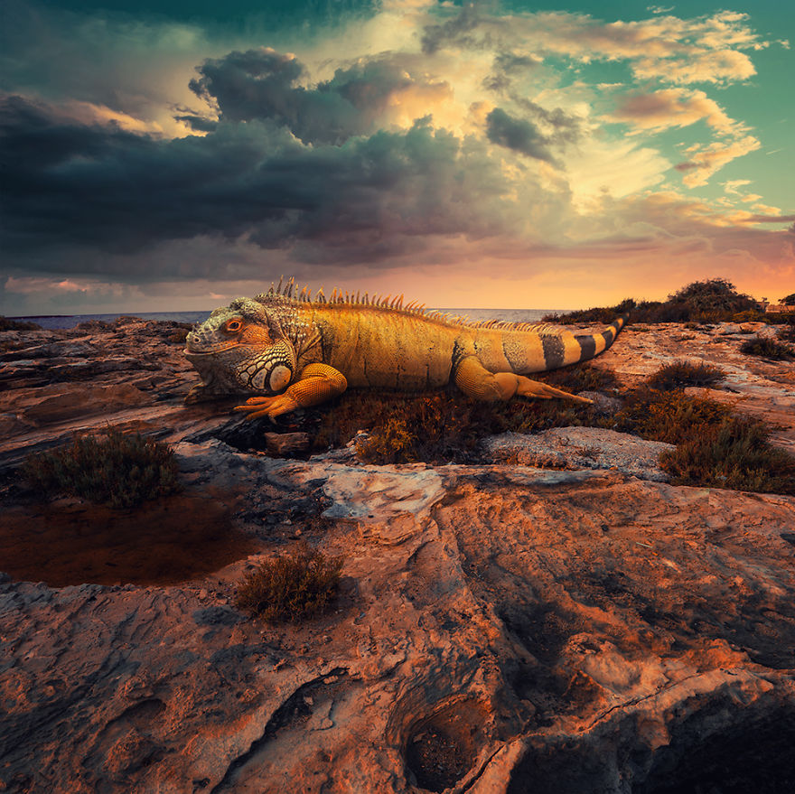 The World Before I Go To Sleep