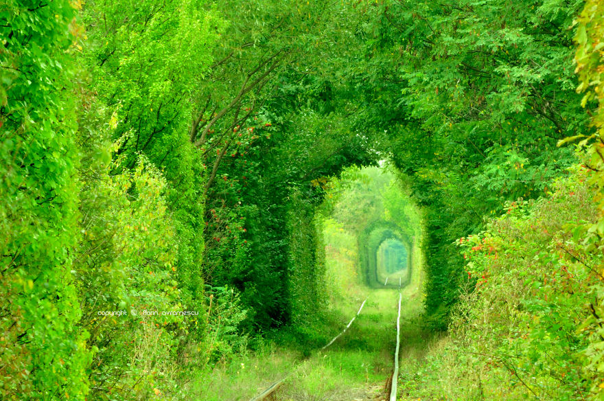 Tunnel Of Love / Romania