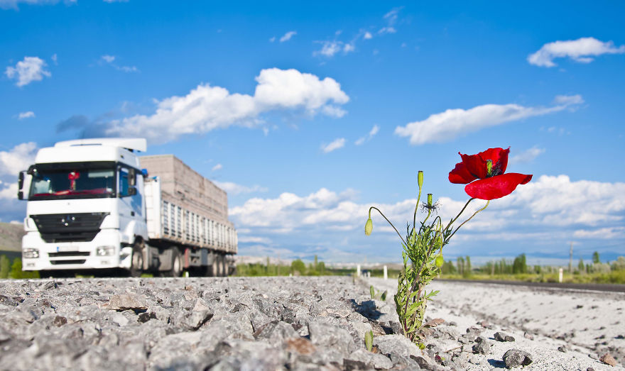 Turkish Photographer