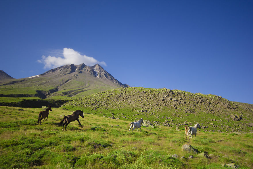 Turkish Photographer