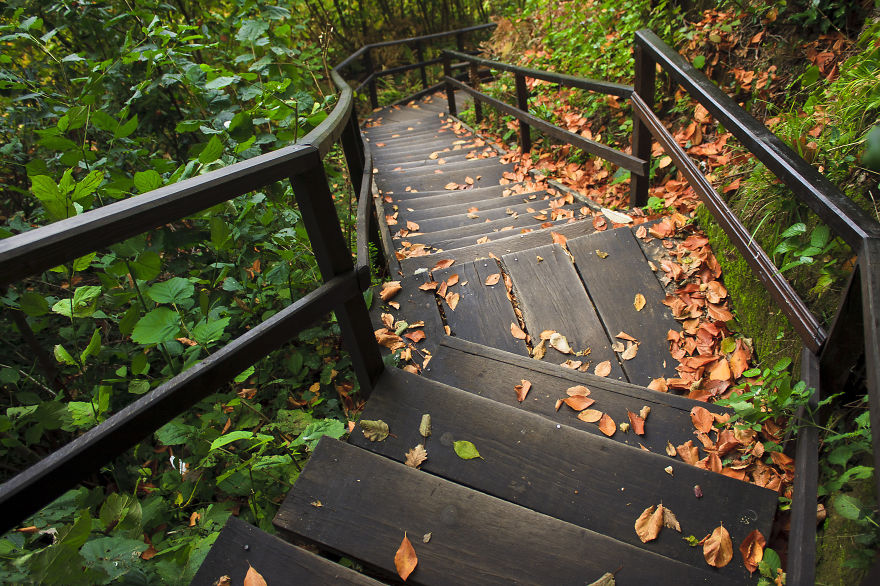 Turkish Photographer