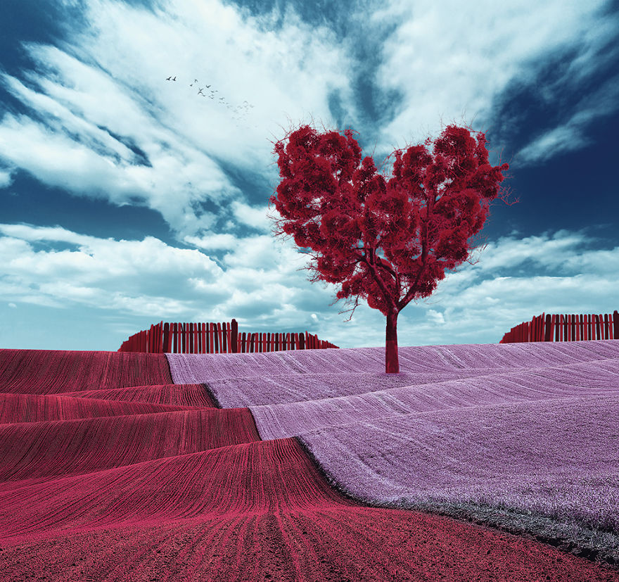 The World Before I Go To Sleep