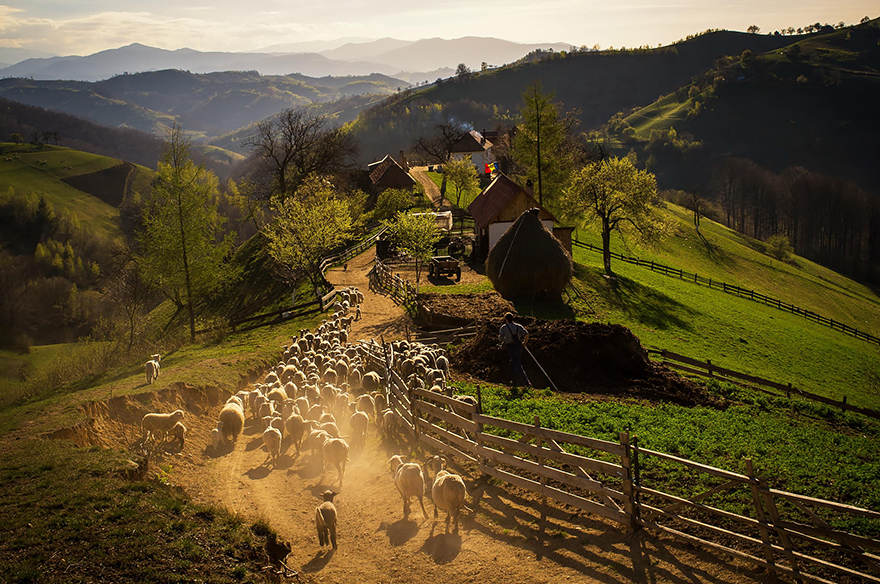 Spring Afternoon In The Hills Of Holbav Village