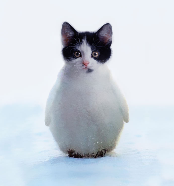 Challenge: Post Your Animal Hybrids