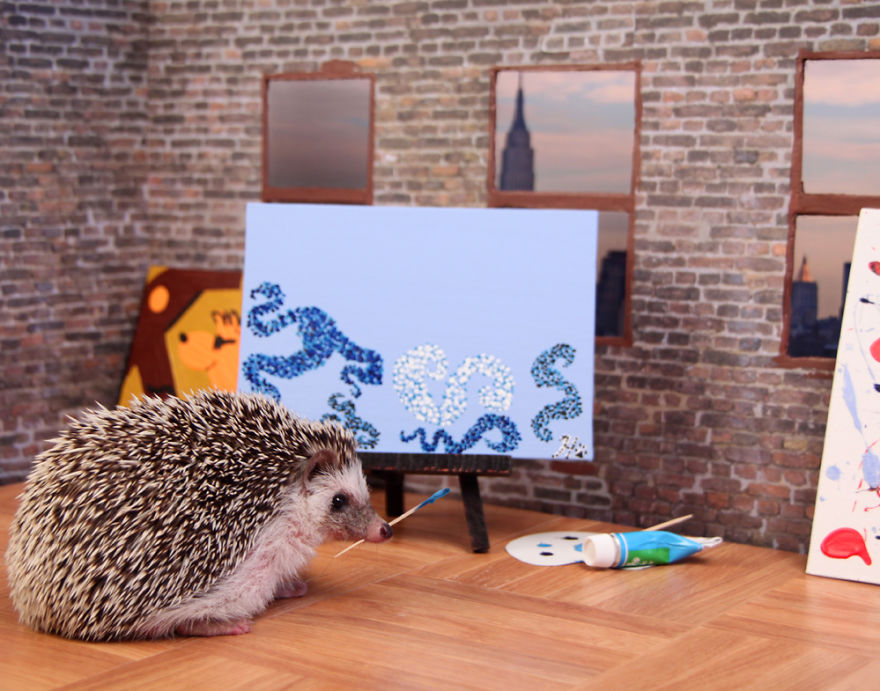 The Adventures Of Humphrey J Hedgehog The Adventures Of Humphrey J Hedgehog