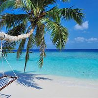 lowestroomrates avatar