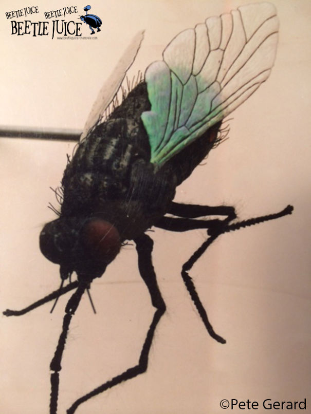 25 Amazing Behind The Scene Pics From Beetlejuice !