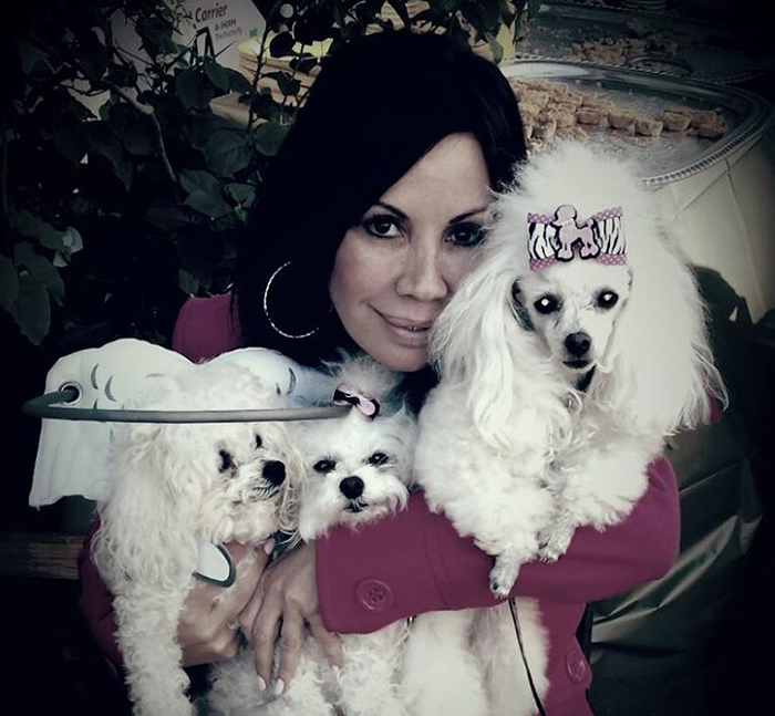 blind-dog-safety-device-muffins-halo-17 blind-dog-safety-device-muffins-halo-17