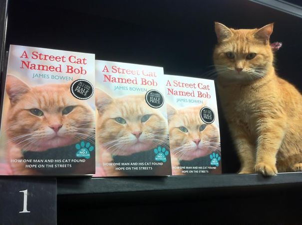 Street Cat Bob