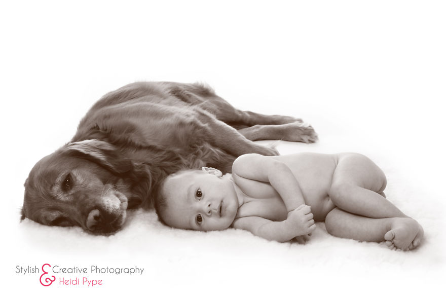 Little Babies, Big Dogs