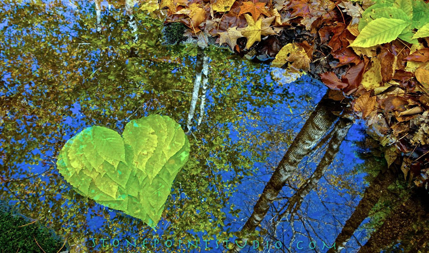 bringing-peace-and-love-2 bringing-peace-and-love-2