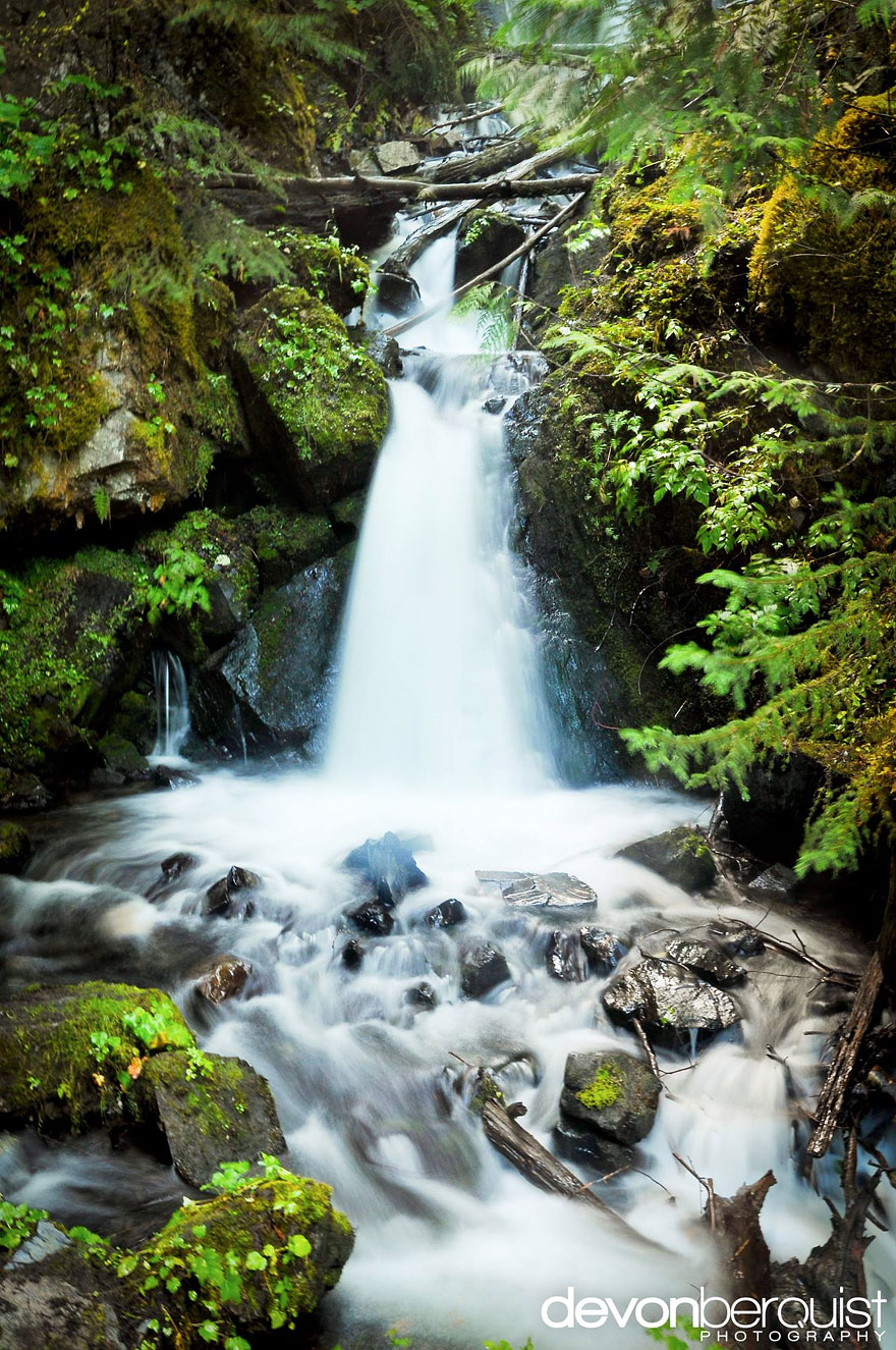 canada-wild-devon-berquist-5 canada-wild-devon-berquist-5