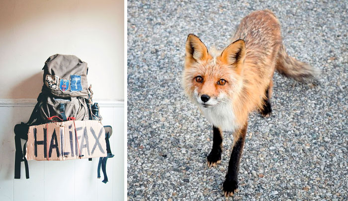 23 Year Old Hitchhiker Carries Camera For An Entire Year To Capture Canada’s Wild Beauty