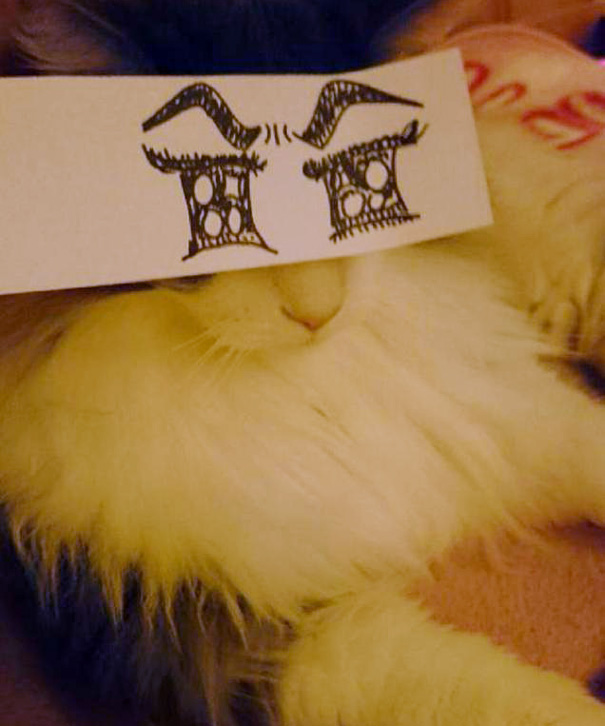 Cartoon Eyes On A Cat