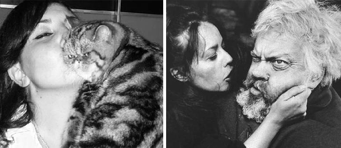 Cat Being Petted Looks Like Orson Welles
