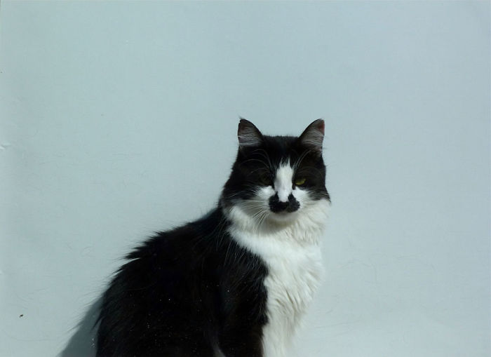 Poirot From Bergamo :)