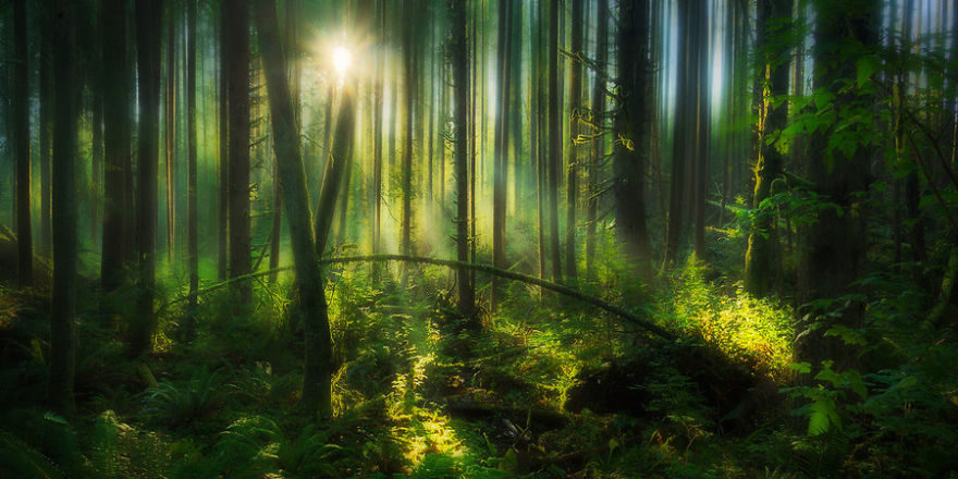 family-landscape-photography-dylan-toh-marianne-lim-11