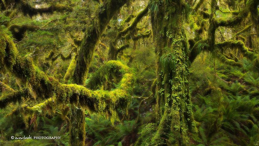 family-landscape-photography-dylan-toh-marianne-lim-20