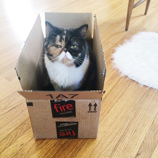 Pudge, The Girl With A Moustache