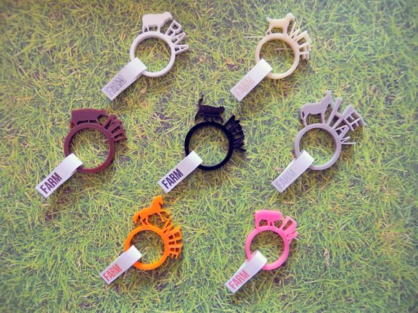 7 Rings, A Farm In Your Hand