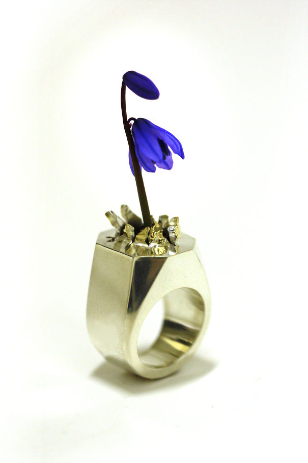 Flower Ring With Soil