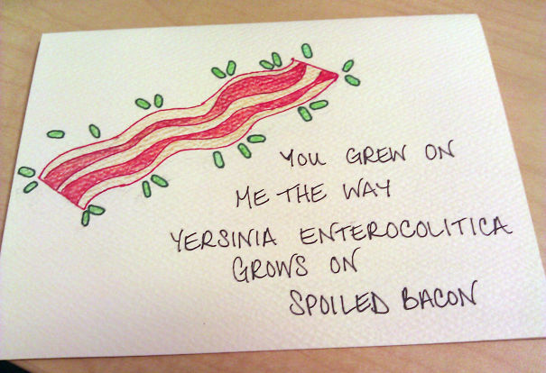 Using A Bacon Reference