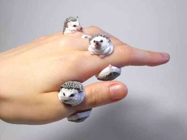 Hedgehog Rings By Jiro Miura
