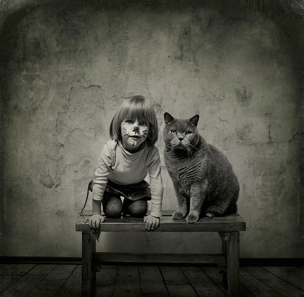 Lilu, The Cat With Glasses