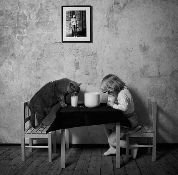 Lilu, The Cat With Glasses