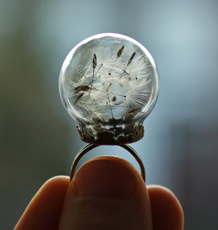 Real Dandelion Globe Ring