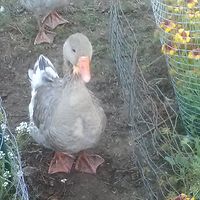 matthew_burdette_758 avatar