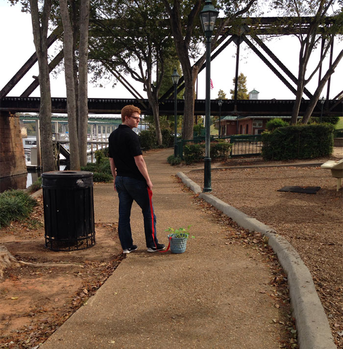 guy-babysits-coworkers-plant-8 guy-babysits-coworkers-plant-8