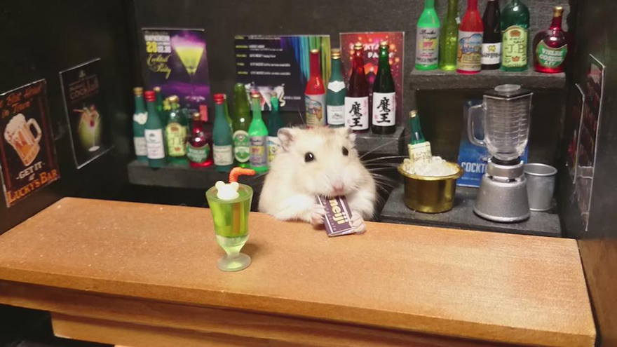 hamster-bartender-miniature-bar-kawanabesatou-113 hamster-bartender-miniature-bar-kawanabesatou-113
