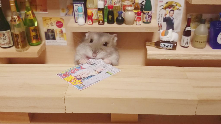hamster-bartender-miniature-bar-kawanabesatou-12 hamster-bartender-miniature-bar-kawanabesatou-12