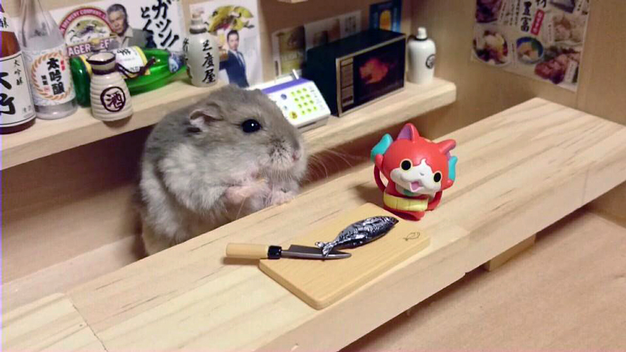 hamster-bartender-miniature-bar-kawanabesatou-19 hamster-bartender-miniature-bar-kawanabesatou-19