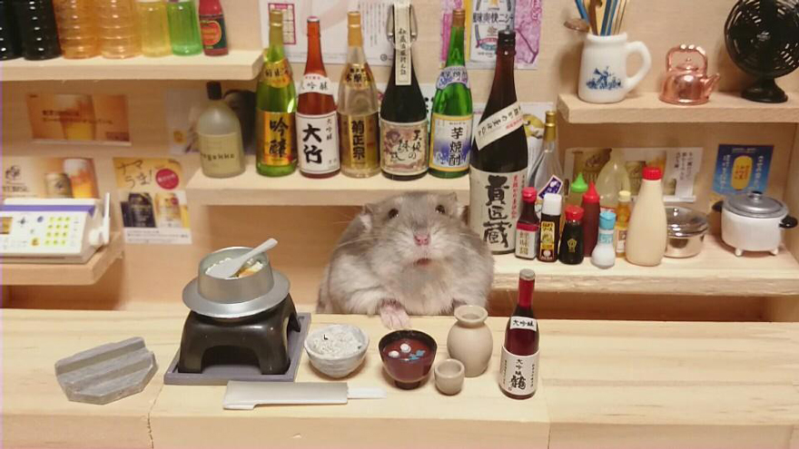 hamster-bartender-miniature-bar-kawanabesatou-21 hamster-bartender-miniature-bar-kawanabesatou-21