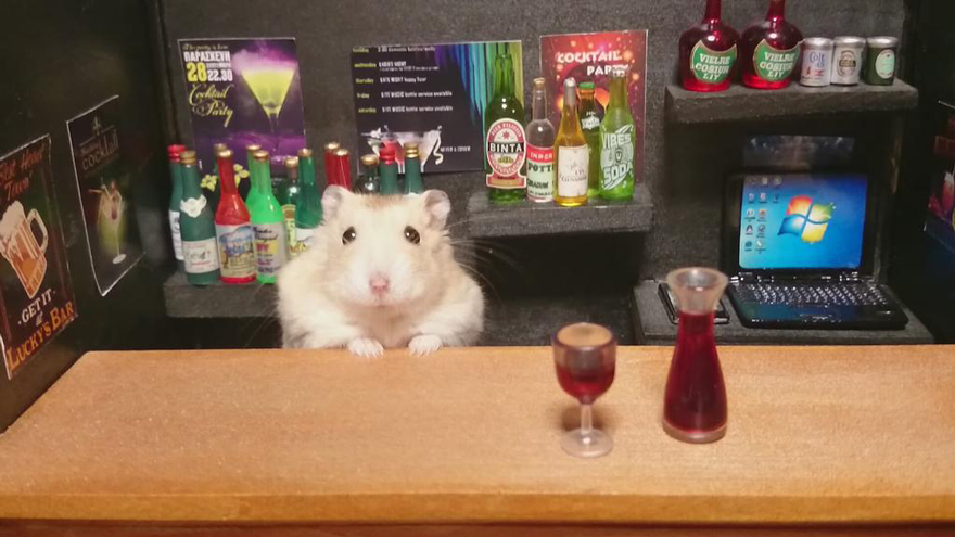 hamster-bartender-miniature-bar-kawanabesatou-22 hamster-bartender-miniature-bar-kawanabesatou-22