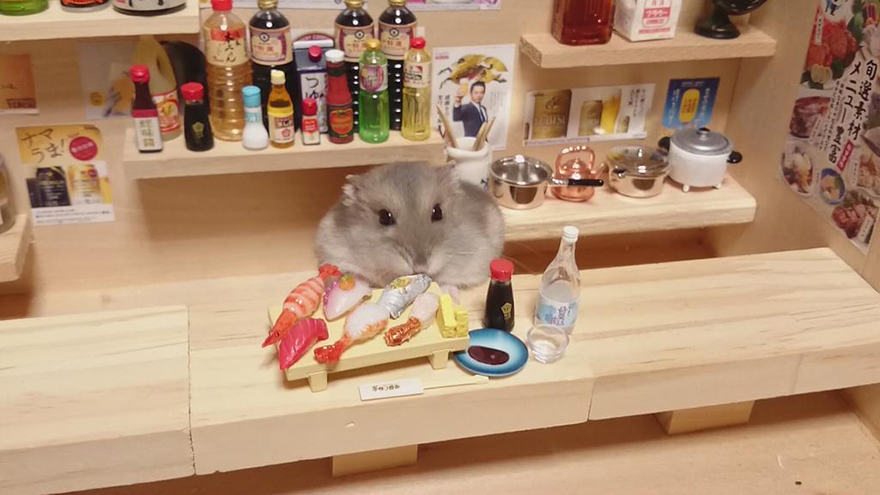 hamster-bartender-miniature-bar-kawanabesatou-3 hamster-bartender-miniature-bar-kawanabesatou-3