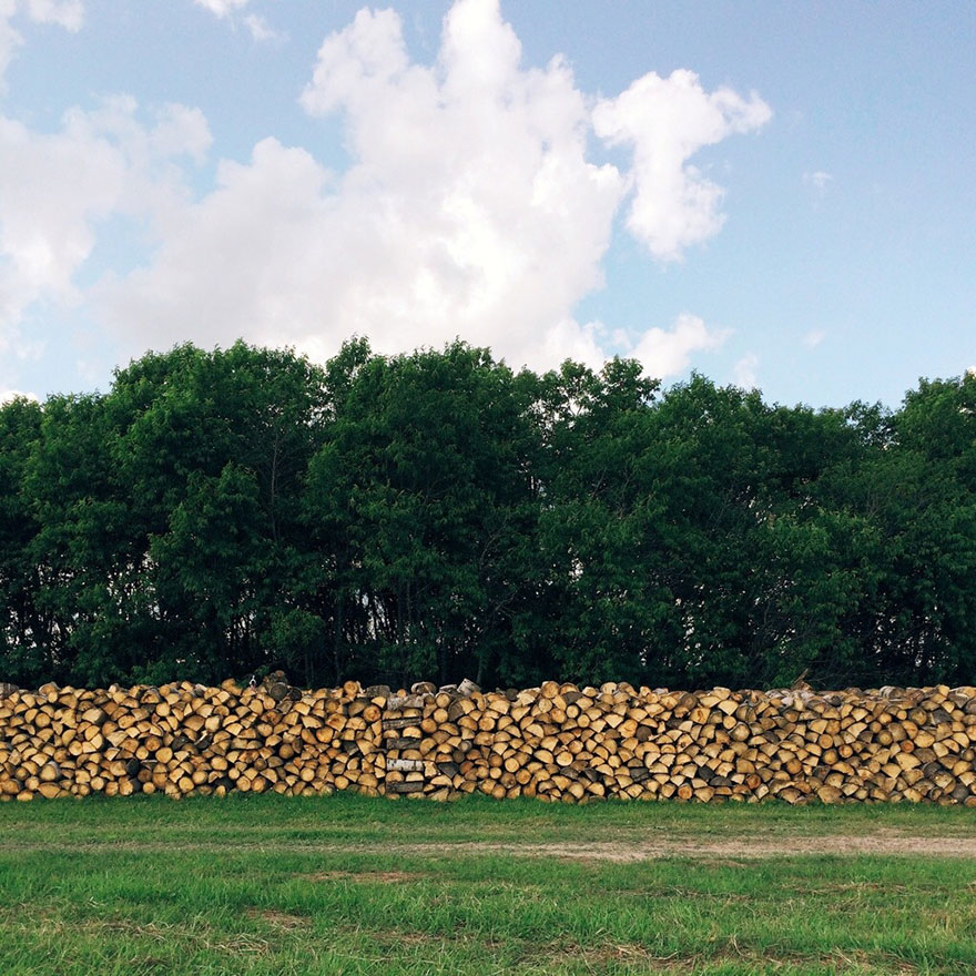 hide-and-seek-dog-photography-finding-momo-andrew-knapp-11