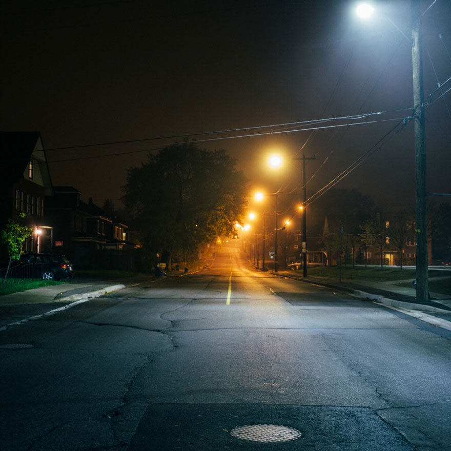 hide-and-seek-dog-photography-finding-momo-andrew-knapp-17