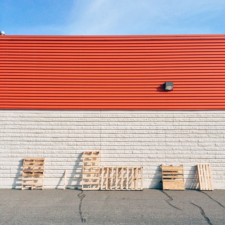 hide-and-seek-dog-photography-finding-momo-andrew-knapp-2