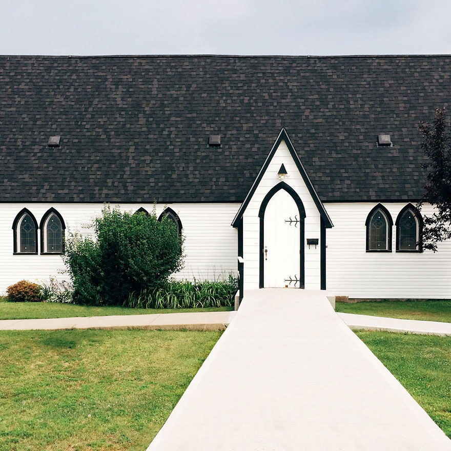 hide-and-seek-dog-photography-finding-momo-andrew-knapp-3